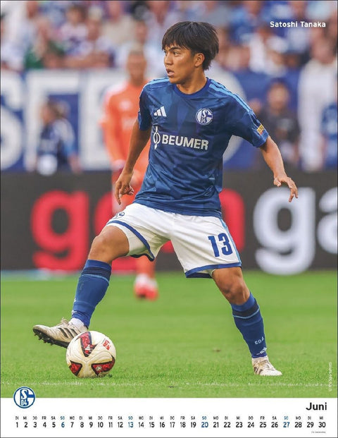 Schalke 04 Posterkalender 2027
