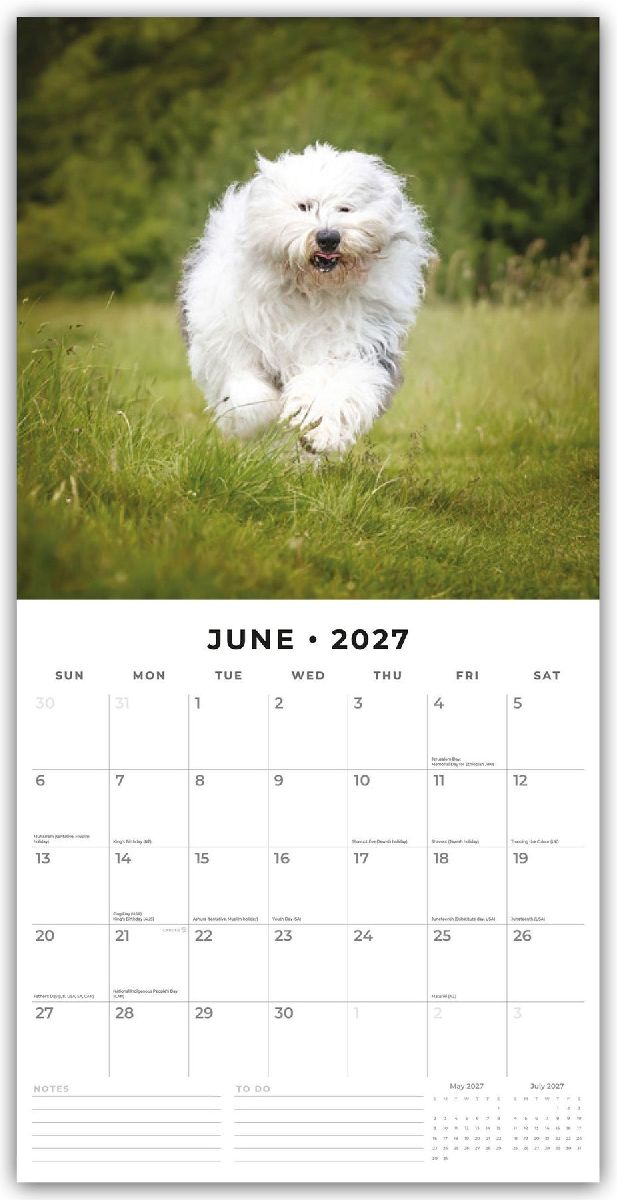 Old English Sheepdogs - Bobtail 2027 - 16-Monatskalender (Innenansicht)