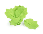 Schneide-Set Salat "fresh"