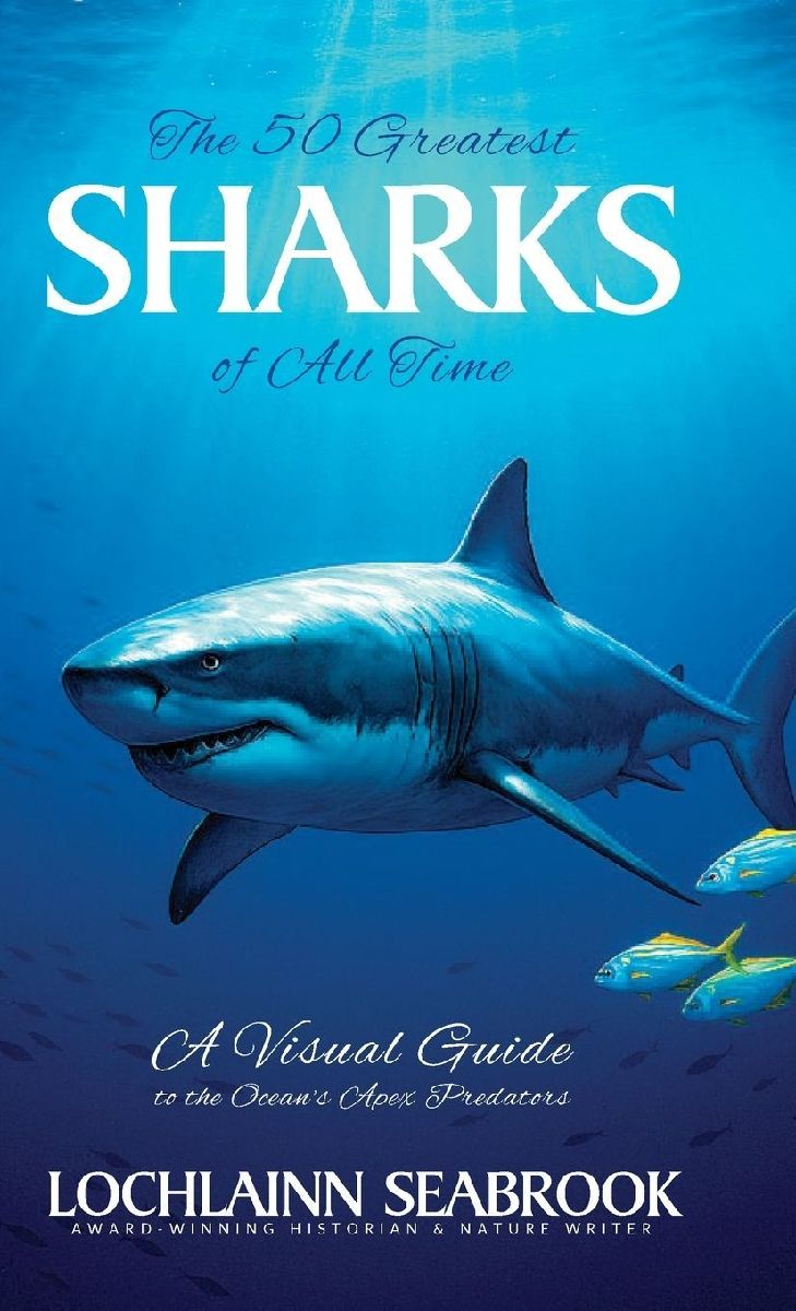 The 50 Greatest Sharks of All Time
