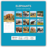 Elephants - Elefanten 2027 - 16-Monatskalender