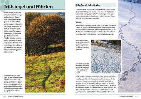 Fährten lesen und Spuren suchen
