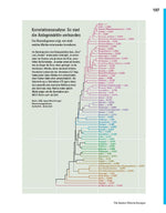 Das große Börsenbuch
