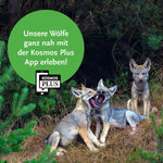 Wölfe (Innenansicht)