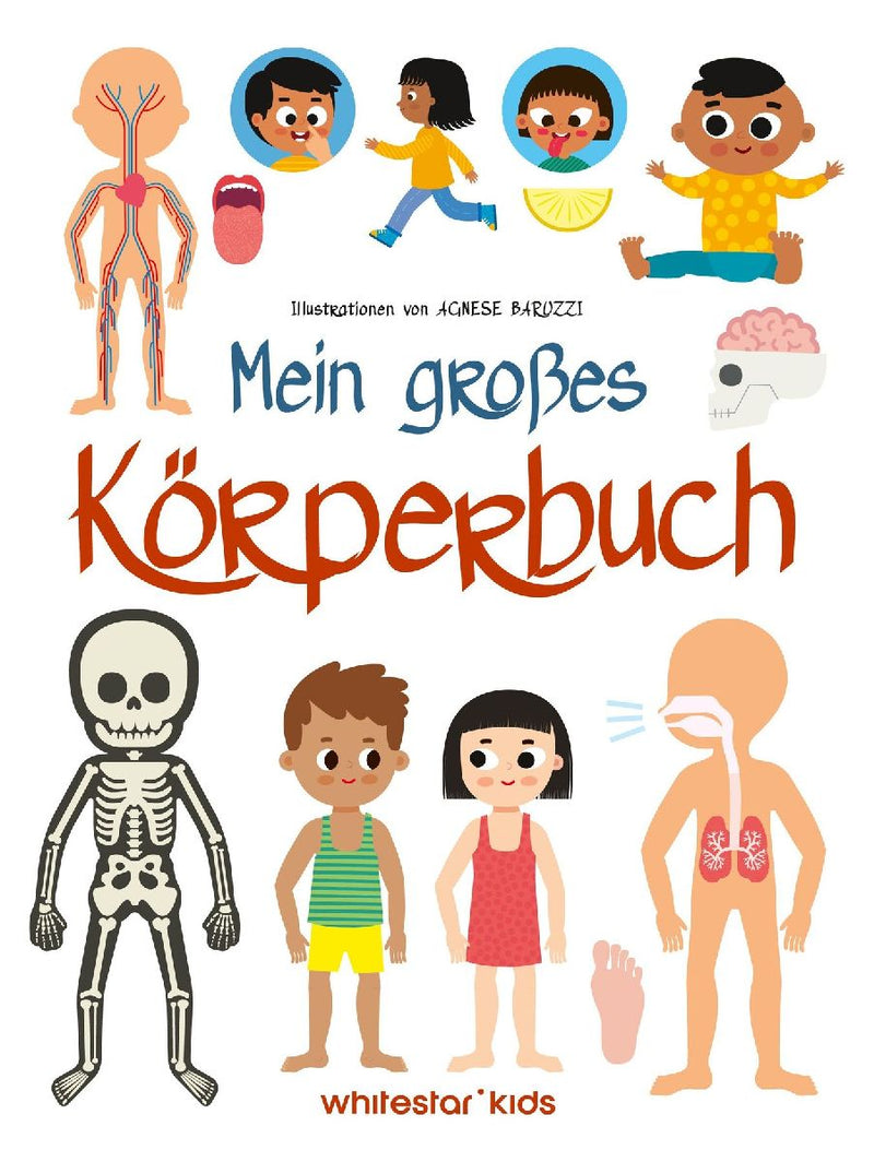 Mein großes Körperbuch