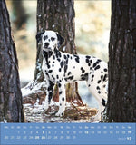 Hunde 2027
