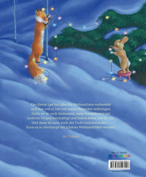 Der kleine Igel und der turbulente Weihnachtstag