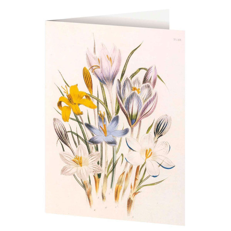 4er-Set Doppelkarten »Blumengrüße« mit Motiven von Jane C. Loudon (Innenansicht)