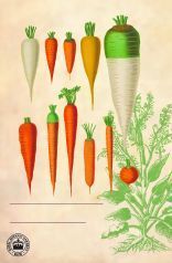 Kew Gardens - Pflanzkärtchen für das Gartenbeet