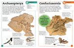 Fossilien