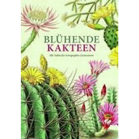 Blühende Kakteen