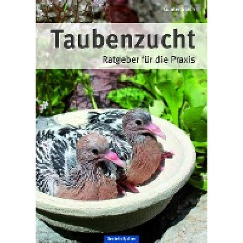 Taubenzucht