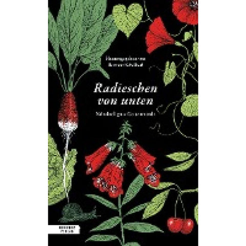 Radieschen von unten