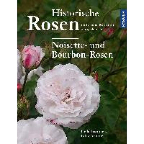 Historische Rosen im Europa Rosarium Sangerhausen: Noisette- und Bourbon-Rosen