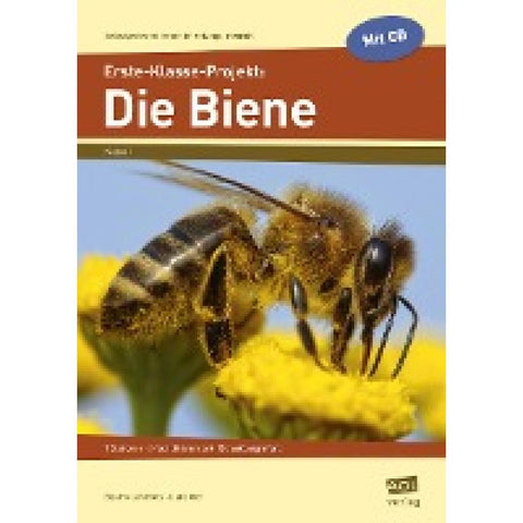 Erste-Klasse-Projekt: Die Biene