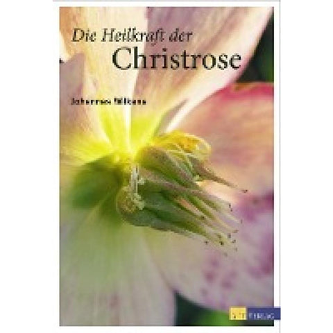 Die Heilkraft der Christrose