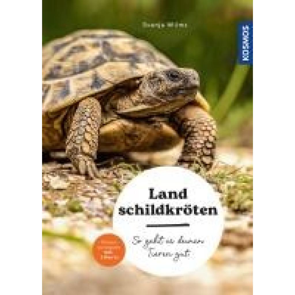 B00000001554458.jpg