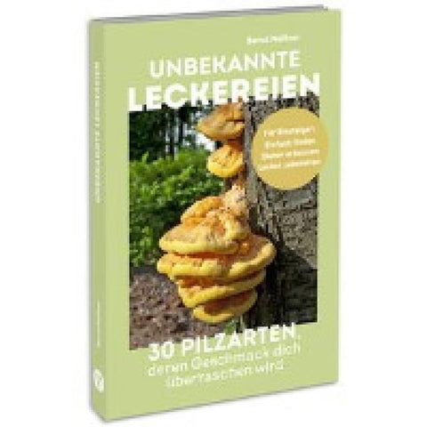 Unbekannte Leckereien: 30 Pilzarten, deren Geschmack dich überraschen wird