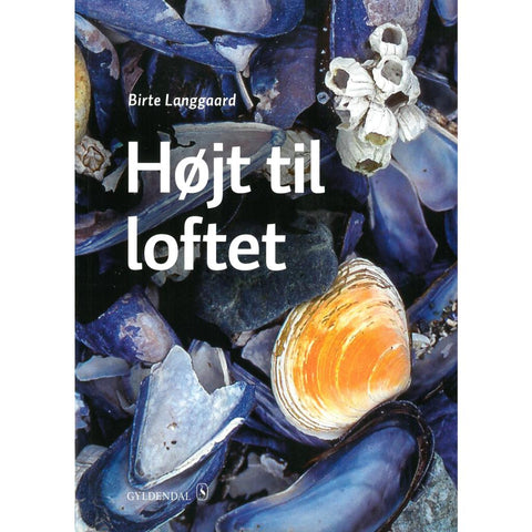 Højt til loftet B2