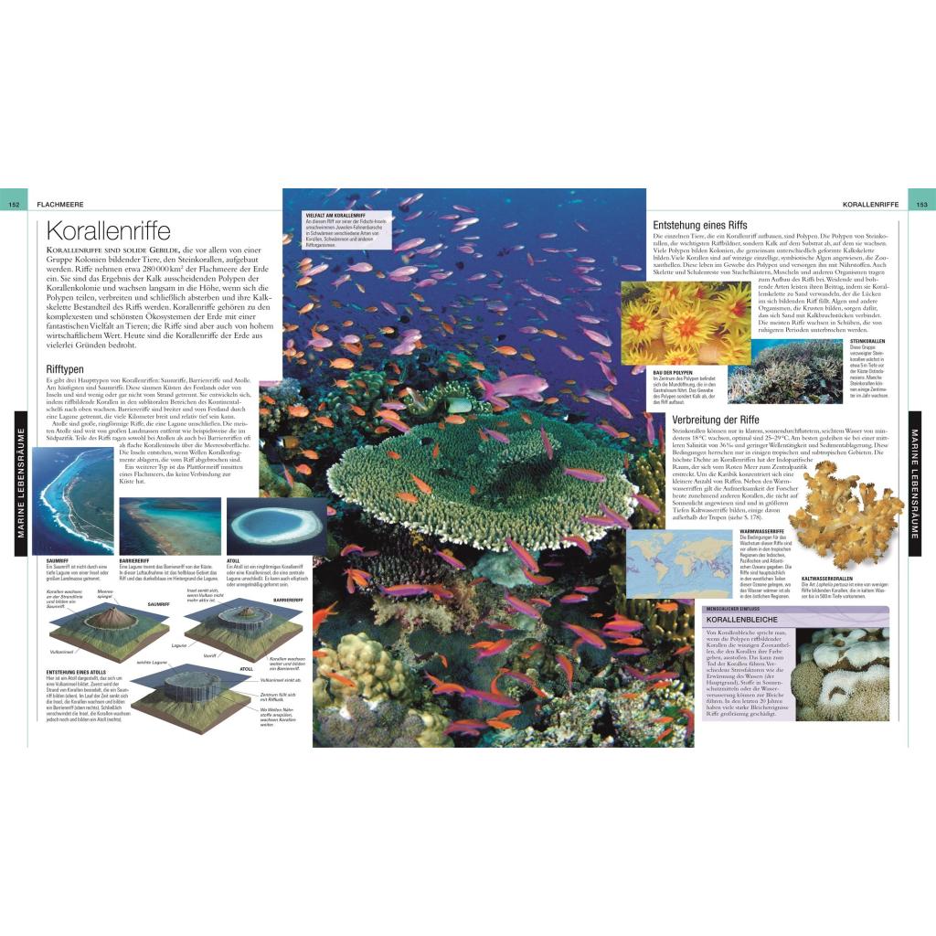 B00000003738692.jpg