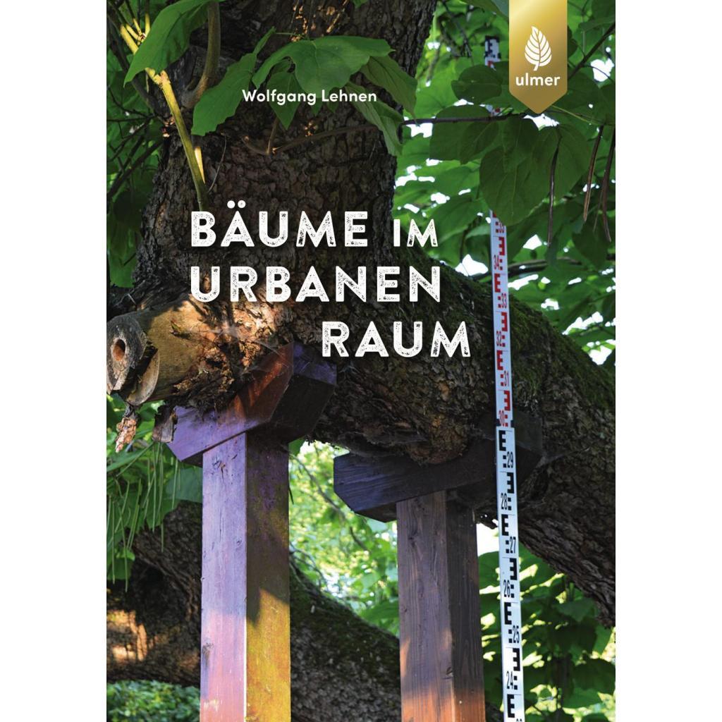 B00000003770979.jpg