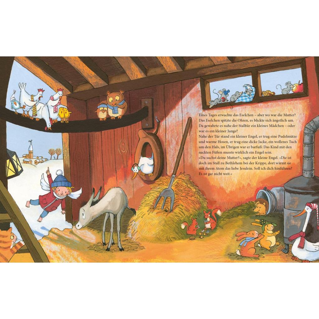 B00000003775816.jpg