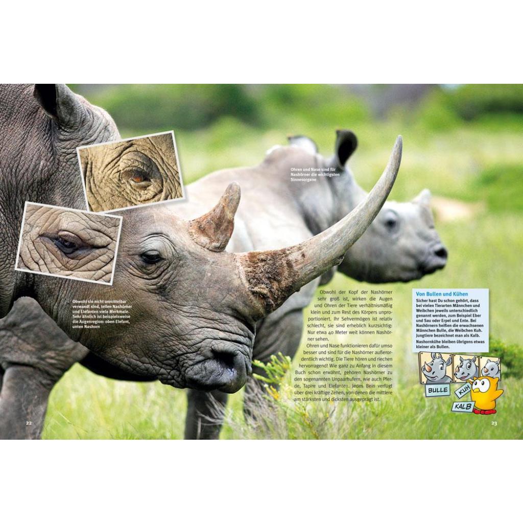 B00000003833125.jpg