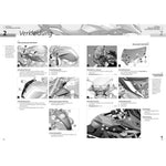 B00000003844469.jpg