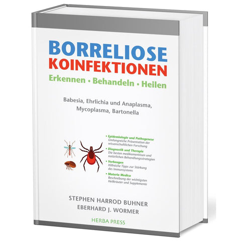Borreliose Koinfektionen