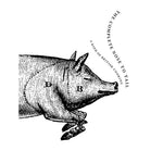 B00000003892278.jpg