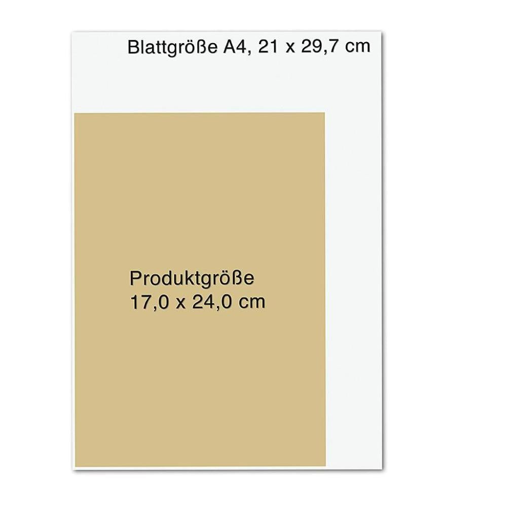 B00000003896618.jpg