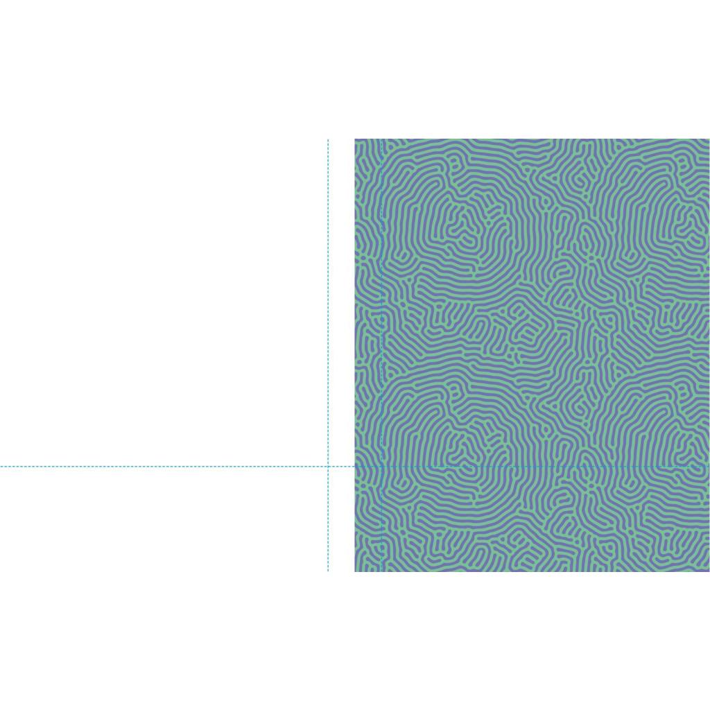B00000003902020.jpg
