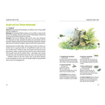 B00000003914303.jpg