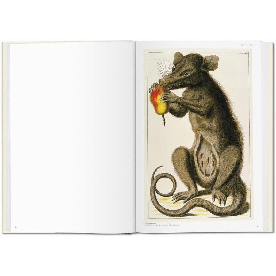 B00000003962278.jpg