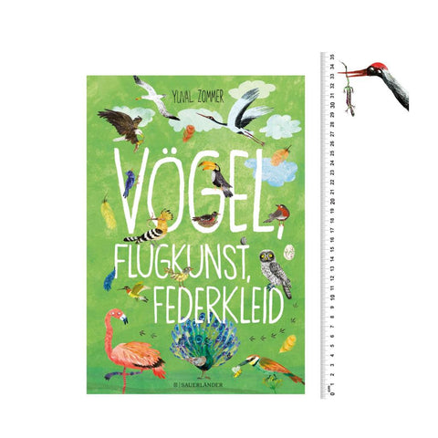 Vögel, Flugkunst, Federkleid