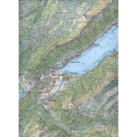 Swisstopo 1 : 50 000 Berner Oberland