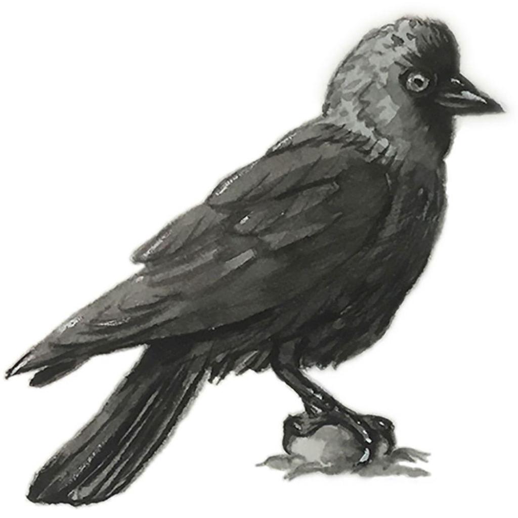 B00000004258116.jpg