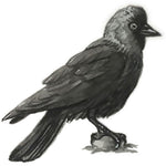 B00000004258116.jpg