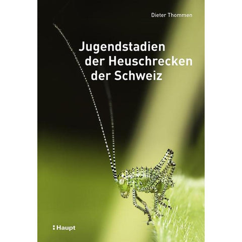 Jugendstadien der Heuschrecken der Schweiz
