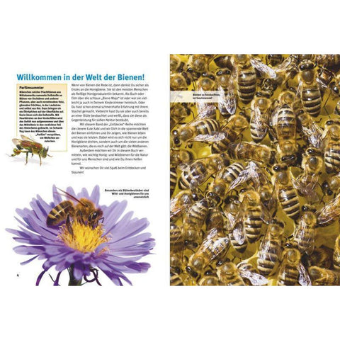 Entdecke die Bienen
