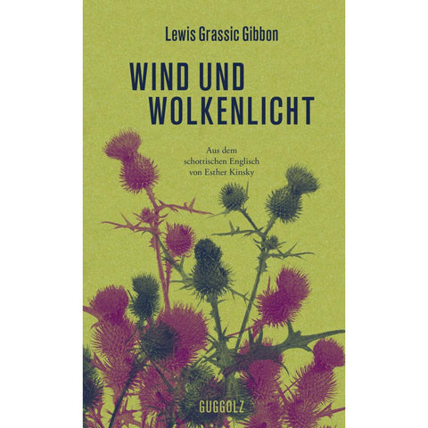 Wind und Wolkenlicht