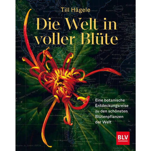 Die Welt in voller Blüte: Eine botanische Entdeckungsreise zu den schönsten Blütenpflanzen der Welt