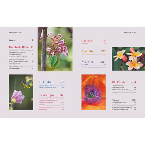 Die Welt in voller Blüte: Eine botanische Entdeckungsreise zu den schönsten Blütenpflanzen der Welt