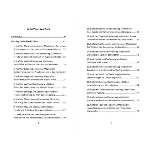 52 Seelenweg und Krafttier Meditationen