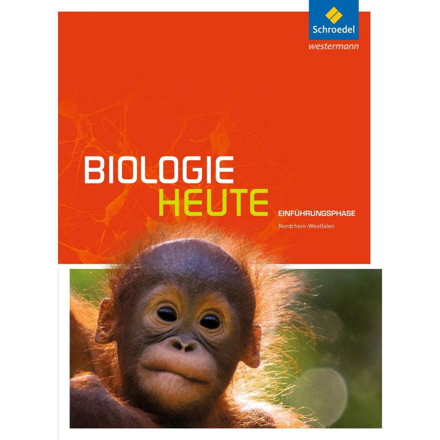 B00000004950943.jpg