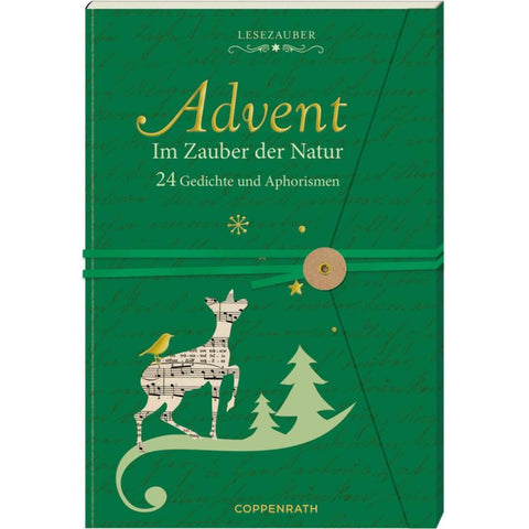 Briefbuch - Advent im Zauber der Natur