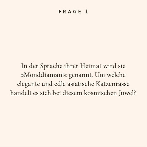 Katzen-Quiz
