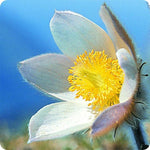 B00000005003522.jpg