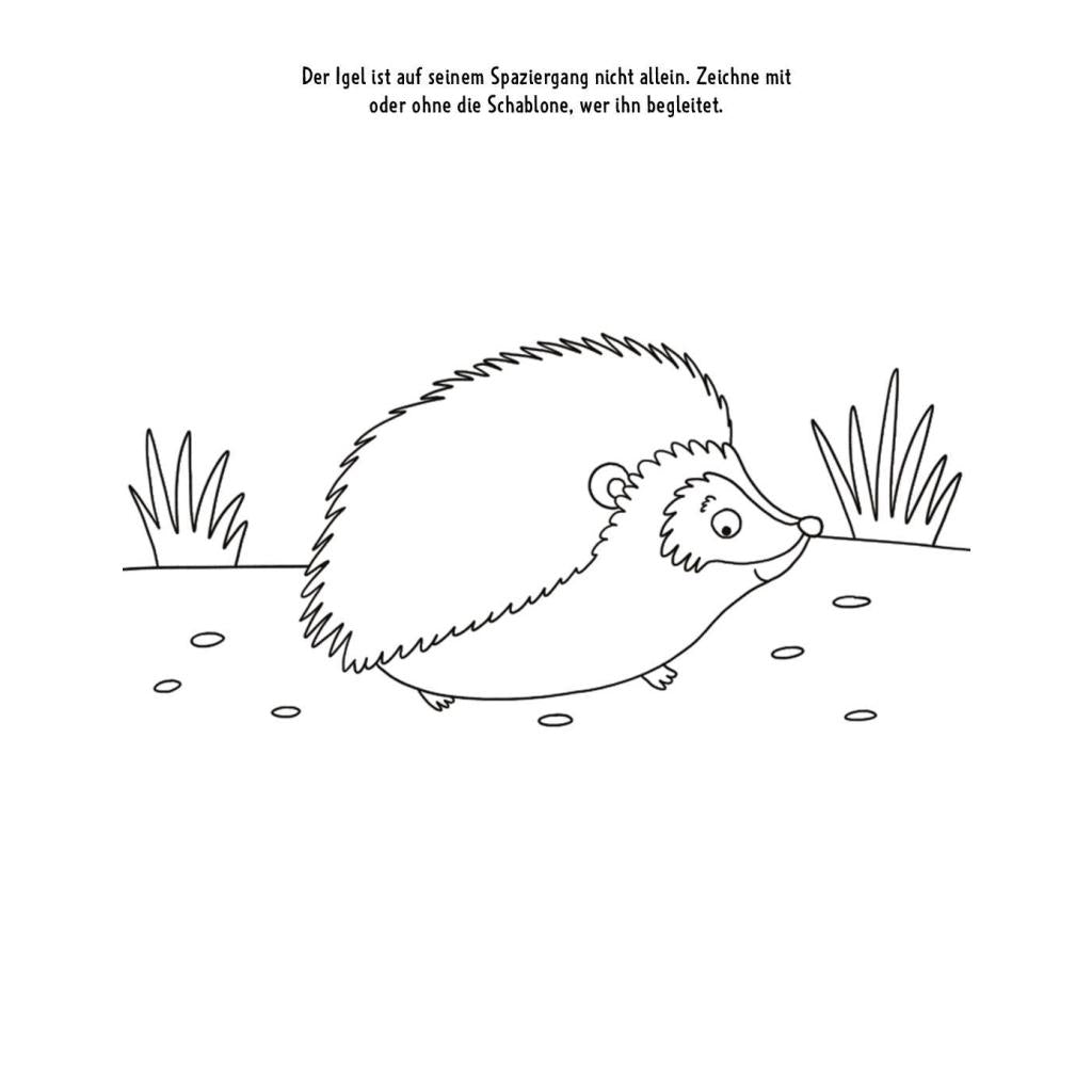 B00000005042400.jpg