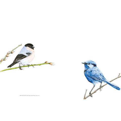 Vögel in der Kunst